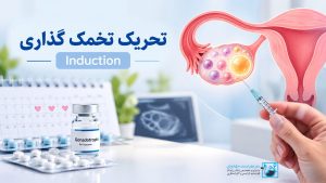 تحریک تخمک گذاری Induction