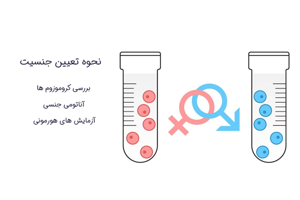 نحوه تعیین جنسیت