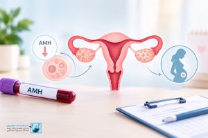 کاهش ذخیره تخمدان چیست؟ AMH پایین یعنی ناباروری؟